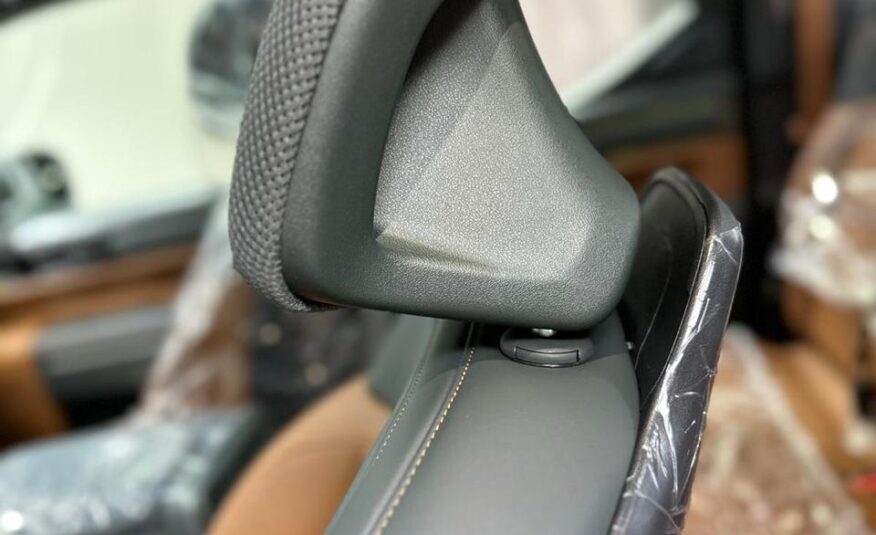 KIA – Tasman